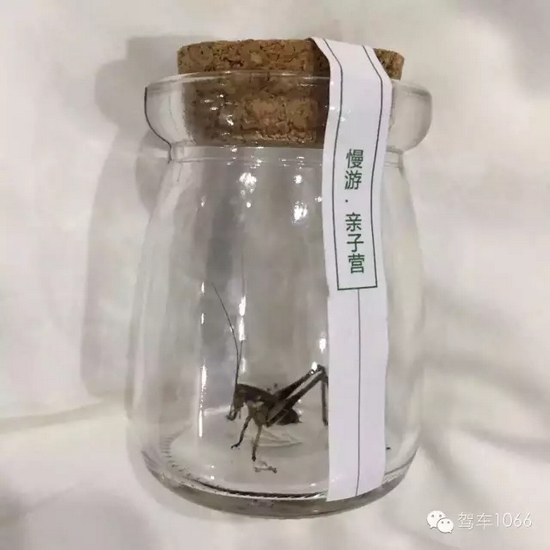 看看我的成果吧！