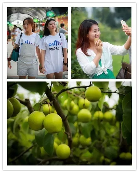 美女與香梨，你更愛哪一個？！