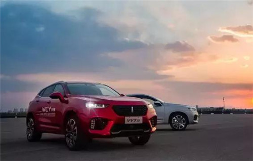 去年“蹦”出來(lái)的新汽車(chē)品牌們，現(xiàn)在活得怎么樣了？