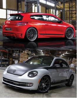 尚酷、甲殼蟲