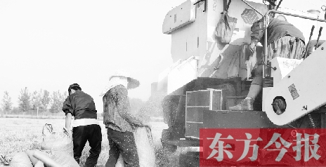 李正厚的妻子鮑本華（右）和一位村民拎著麻袋來(lái)到收割機(jī)前，接住傾倒出來(lái)的麥粒