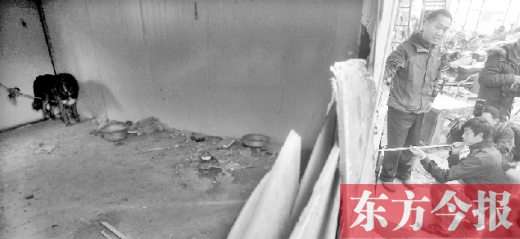 12月4日，鄭州市未來(lái)路與隴海路交叉口西側(cè)，執(zhí)法人員用吹管麻醉針對(duì)付一只藏獒