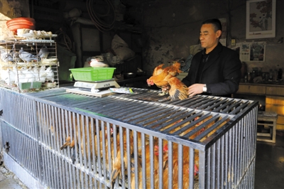 南京另一家農(nóng)貿(mào)市場(chǎng)內(nèi)待售的活雞。因南京出現(xiàn)H7N9禽流病例，買活雞的顧客減少。