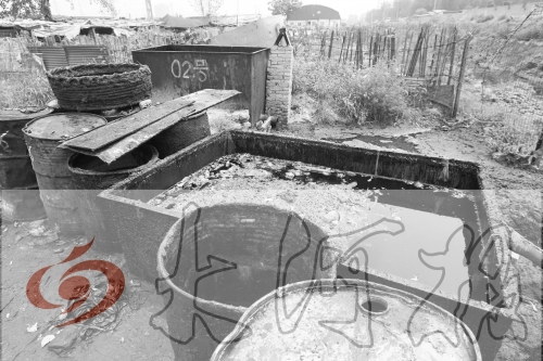 　　骯臟、令人作嘔的油桶凌亂地?cái)[放在院子里，為了避免視覺(jué)刺激，我們把它做成了黑白圖片。