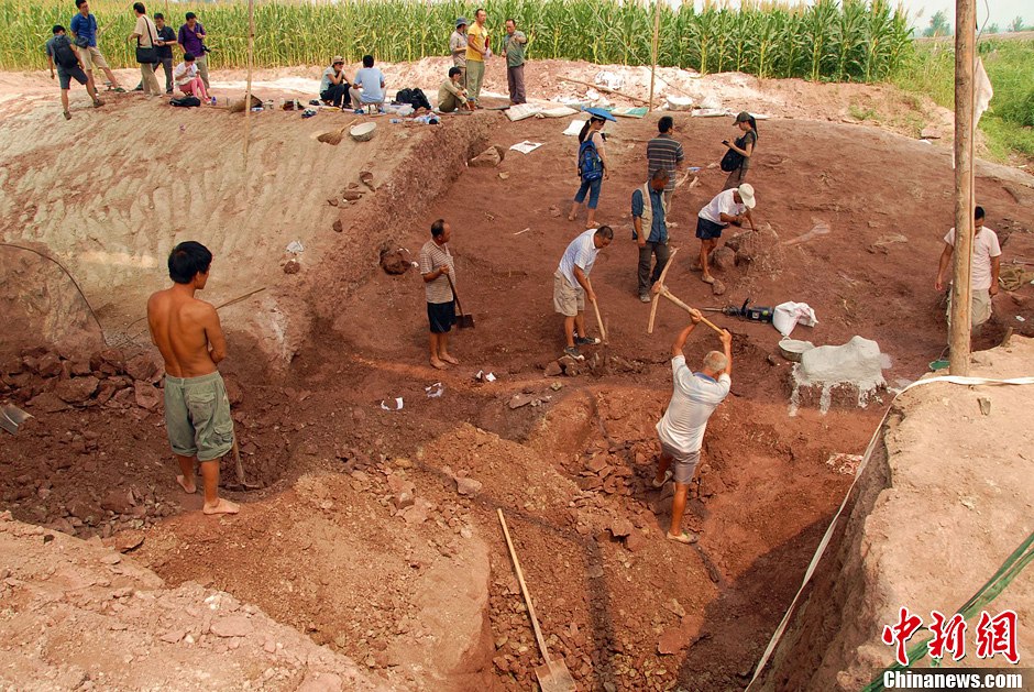 恐龍化石發(fā)掘現(xiàn)場。