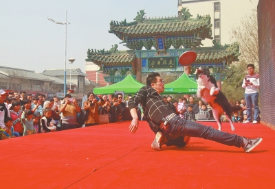 5歲金毛犬會(huì)加減乘法 蒙上雙眼可準(zhǔn)確"說(shuō)"出男女人數(shù)