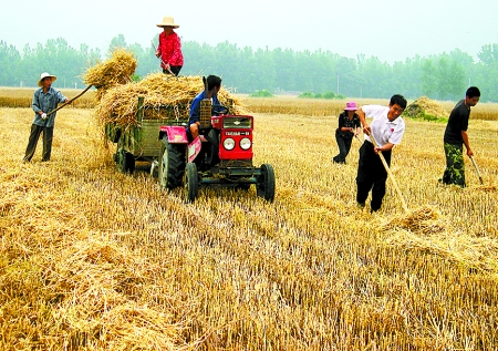 6月1日，舞鋼市礦建街道張我莊村幫扶隊員在幫村民收秸稈。