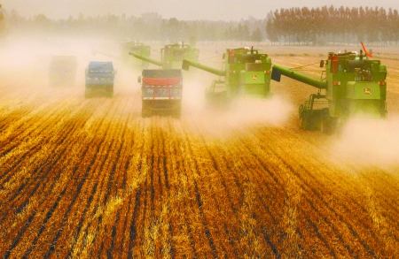 田里，一臺臺收割機唱著豐收歌。