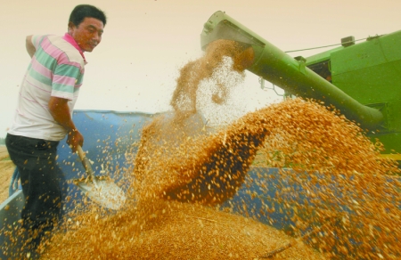 心情喜悅麥龍舞。