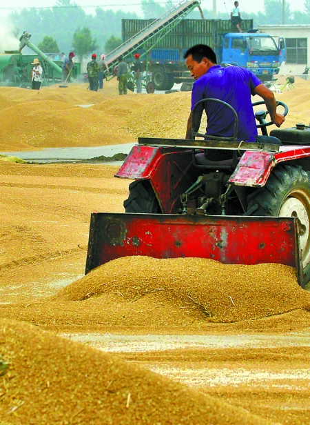 精心晾曬，散倉入庫。