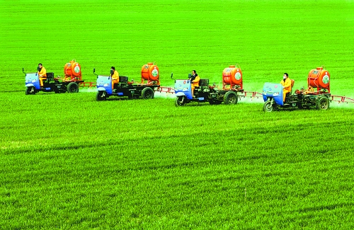 車載噴霧機奔駛在萬畝高產(chǎn)田里。