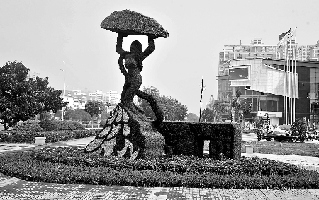 8月28日，南陽街頭繁花似錦，市民宛若行走在花海之中。