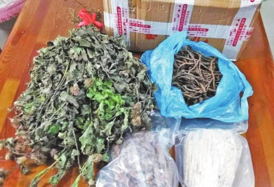 焦作女子網(wǎng)上買中藥上當 專家稱真假難辨 焦作女子網(wǎng)上買中藥上當 專家稱真假難辨