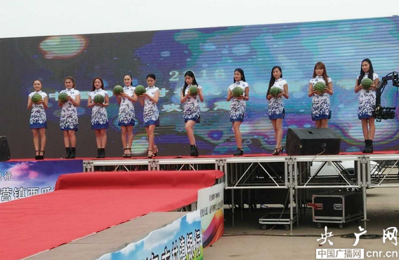 2016中國·開封——杏花營西瓜節(jié)隆重開幕