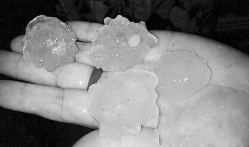 昨天凌晨，三門峽下起了冰雹，最大直徑近1厘米 微博截圖