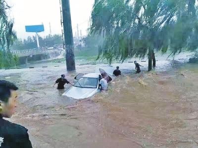 義馬特警在救人圖片由網友提供