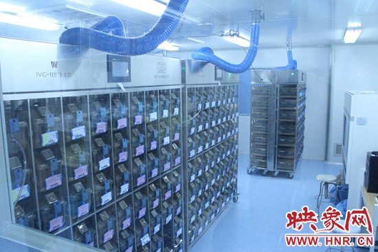 “鼠村”里每一個籠子是一家?！按濉崩镒≈?萬只左右的小鼠