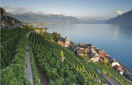 盤(pán)點(diǎn)幸福感最高的國(guó)家地區(qū)