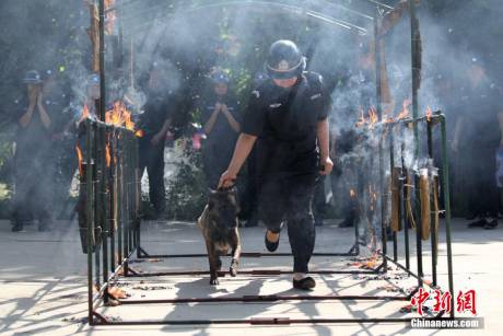 河南某景區(qū)成立女子反恐救援隊(duì) 河南某景區(qū)成立女子反恐救援隊(duì)