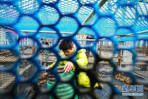 2014年陽(yáng)澄湖大閘蟹開捕