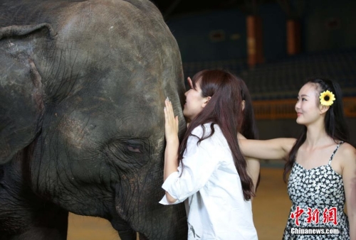 學生參加?；ㄐ２荽筚?穿比基尼秀身材