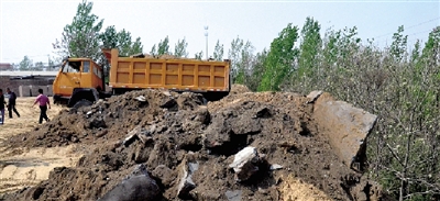 垃圾將生態(tài)涵養(yǎng)林給埋住了。