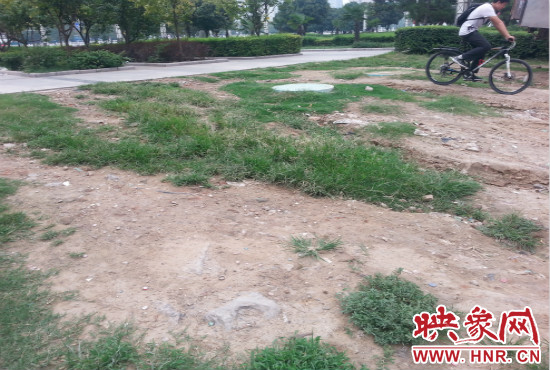 公園內(nèi)大片草坪遭到破壞。