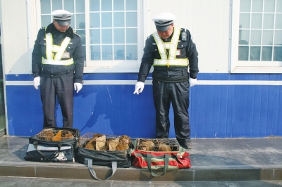 民警查獲的乘客行李包中，裝的全是獼猴。