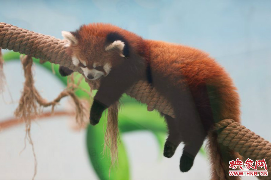 “休息，休息一下?！? width=