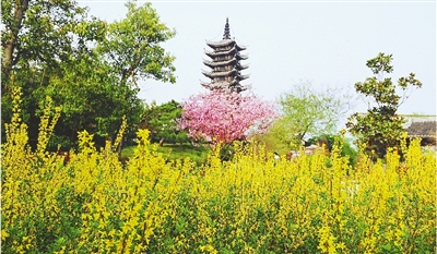 綠博園盛開的鮮花“期待”和市民“約會(huì)”。