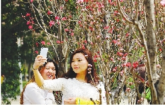 市民在公園與花合影。