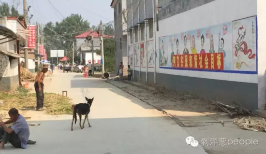 孫莊村一角。新京報(bào)記者安鐘汝 攝