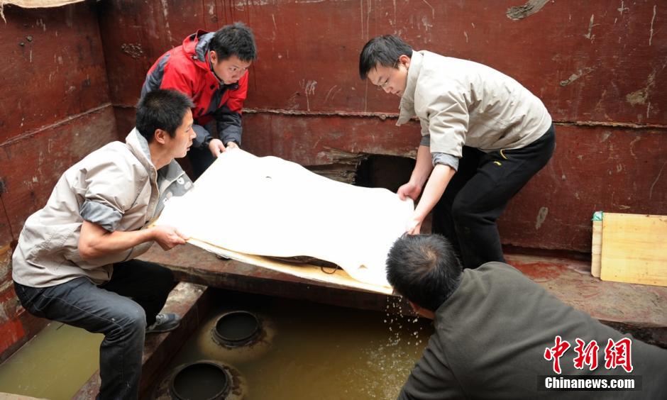 圖為考古現(xiàn)場工作人員小心翼翼將文物取出。