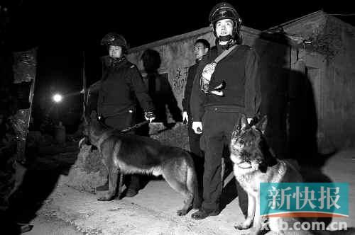 緝毒犬協(xié)助警方搜查毒品。