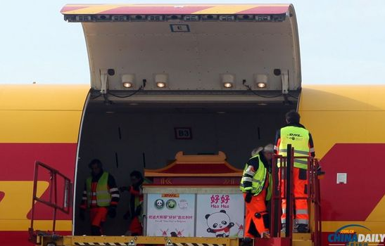 大熊貓“好好”抵達(dá)布魯薩爾國(guó)際機(jī)場(chǎng)。記者 付敬 攝