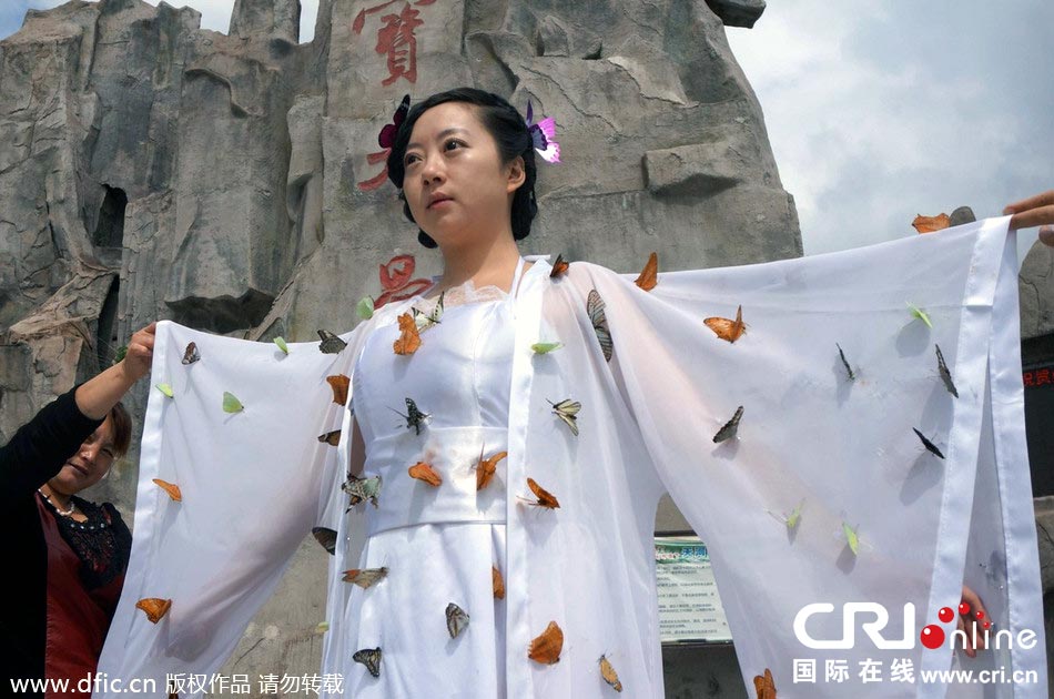 “蝴蝶仙子”身穿上百只剛剛扎死的蝴蝶。圖片來源：老祝/東方IC