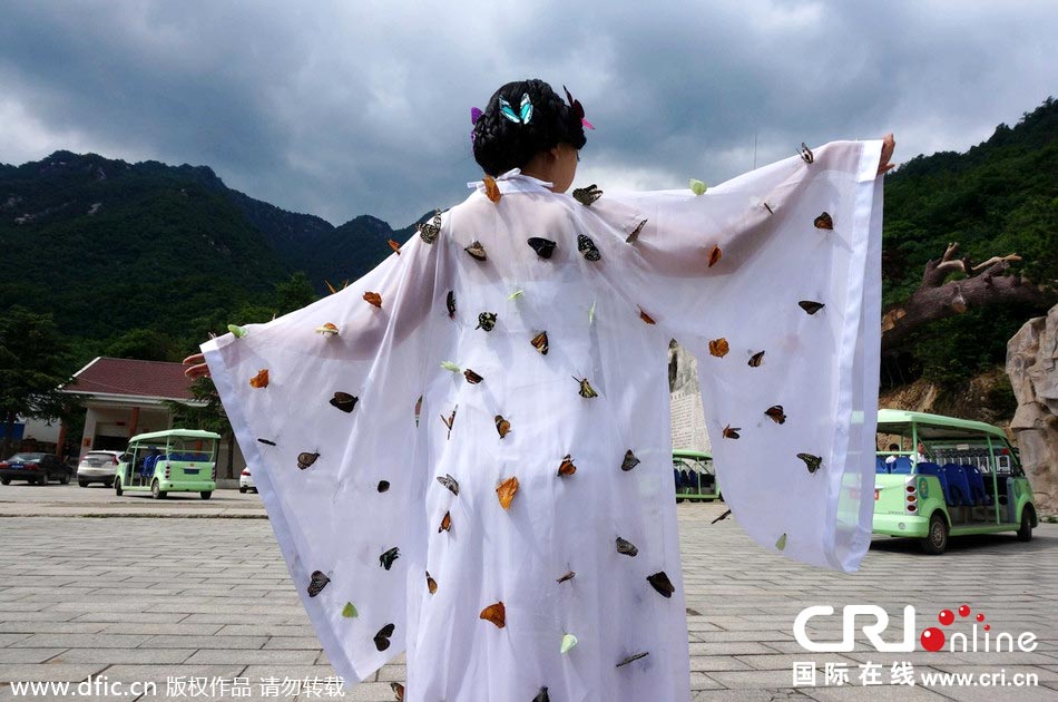 “蝴蝶仙子”身穿上百只剛剛扎死的蝴蝶。圖片來源：老祝/東方IC