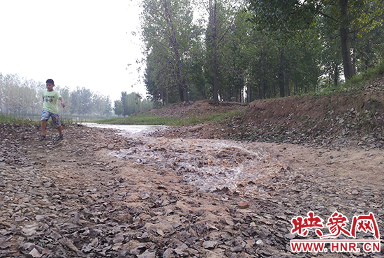 18日丹江水沿澎河流向白龜山水庫，孩子歡騰起來，跟著水頭奔跑。