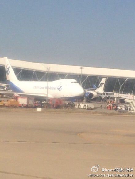 圖說：發(fā)生事故的飛機。圖片來源：新浪微博網(wǎng)友圖（請私信“新民晚報新民網(wǎng)”以奉稿酬）