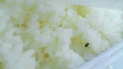 陸先生在高鐵上購(gòu)買(mǎi)的“梅菜扣肉套餐”盒飯。盒飯中的米飯上有芝麻狀的黑色小蟲(chóng)。