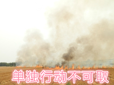 不要單獨(dú)一個(gè)人亂沖亂打：單獨(dú)行動(dòng)被煙氣沖昏倒地，無人發(fā)覺被燒；