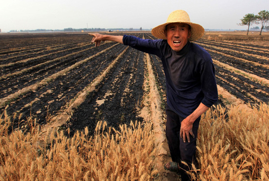 河南省滑縣、內(nèi)黃縣麥田著火，麥壟套種的花生、玉米苗也被烤焦，群眾損失慘重