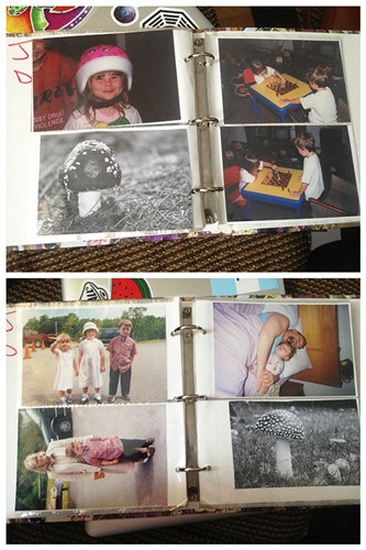 圖五：這位老爹最神的是，把一棵蘑菇的照片放進(jìn)了家庭相冊里，真正地作為家人來對(duì)待。