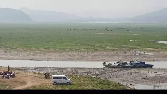 2015年10月27日，“冬季到湖區(qū)看草原”是近年來鄱陽湖生態(tài)濕地興起的旅游項目。江西省星子縣鄱陽湖邊，進入枯水期的鄱陽湖，“草原”風(fēng)光已經(jīng)取代碧水連天，遠處有牛群吃草。 新華社記者郭雅茹 攝