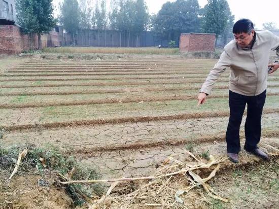 2015年10月20日，河北省柏鄉(xiāng)縣地下水超采區(qū)，地面沉降，大地出現(xiàn)8公里長的裂縫，最寬處有1米寬。農(nóng)民用土填上裂縫，但是一下雨又會塌陷。新華社記者郭雅茹 攝