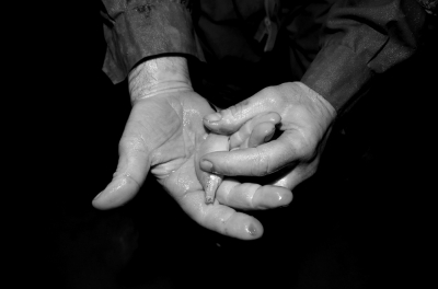 圖為科考人員發(fā)現(xiàn)的洞穴動(dòng)物（3月2日攝）。