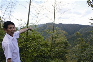 村民吳學田告訴記者，對面兩座山就是潘建友承包的部分山場 見習記者 邱一文 攝