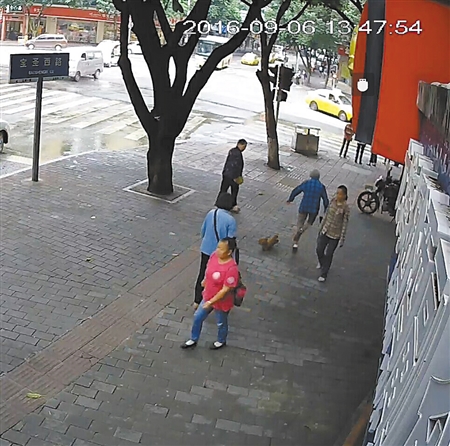 寵物狗絆倒八旬老太 沒(méi)有“逃離”現(xiàn)場(chǎng)坐等民警來(lái)