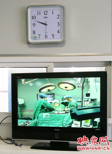 由于扎入大龍顱內(nèi)的針位置較深，所以經(jīng)過七次定位才取出,圖為監(jiān)視器中手術(shù)場景