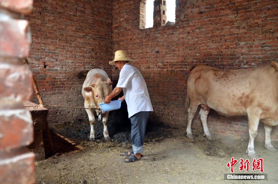 同時(shí)，地下水位的持續(xù)下降以及部分山泉水的干涸，已造成全縣2.85萬(wàn)人和2000頭大牲畜出現(xiàn)飲水困難。